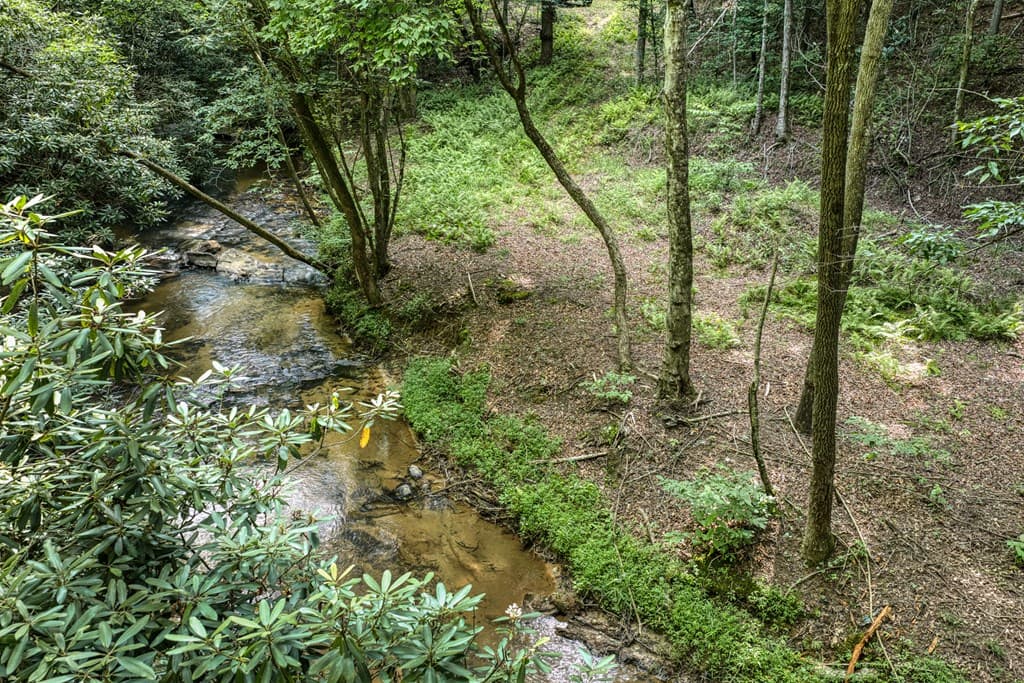 00 Mill Race Drive, Mineral Bluff GA 30559 - Photo