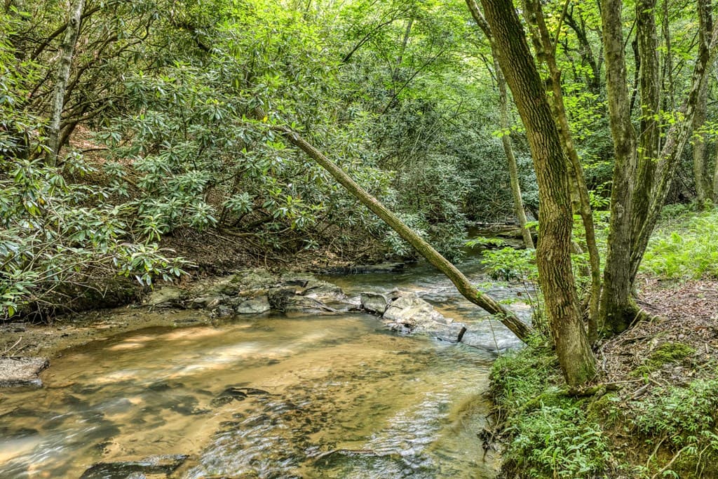 00 Mill Race Drive, Mineral Bluff GA 30559 - Photo