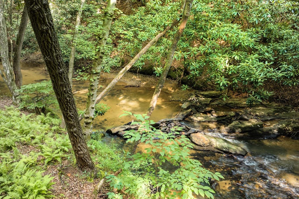 00 Mill Race Drive, Mineral Bluff GA 30559 - Photo