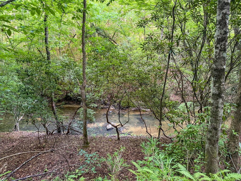 00 Mill Race Drive, Mineral Bluff GA 30559 - Photo
