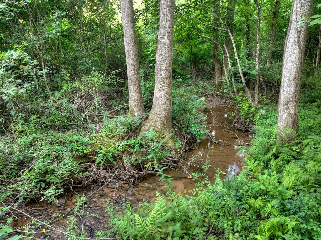 219 Staurolite Mountain Road, Blue Ridge GA 30513 - Photo