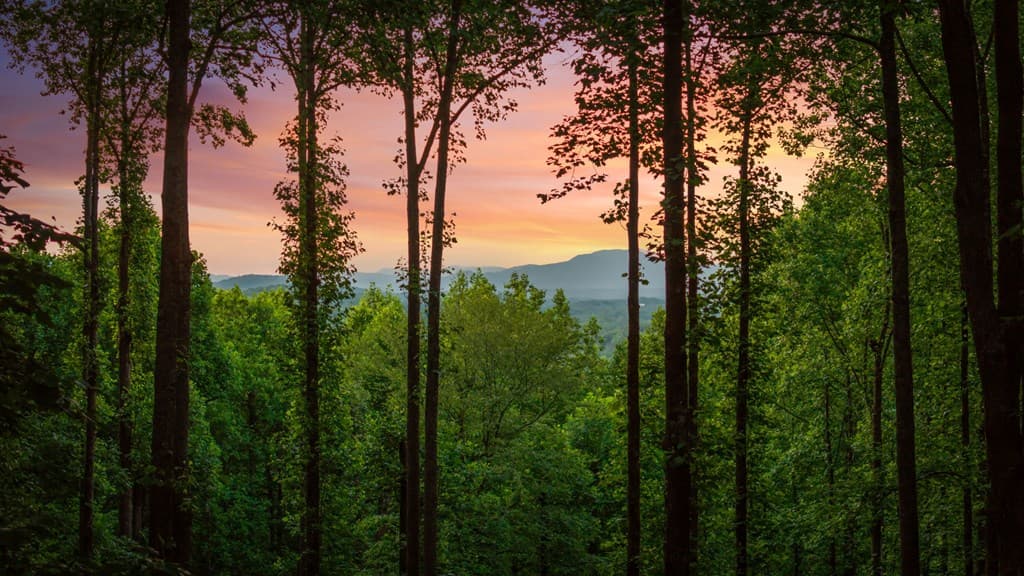 391 Little Bushy Head Road, Blue Ridge GA 30513 - Photo