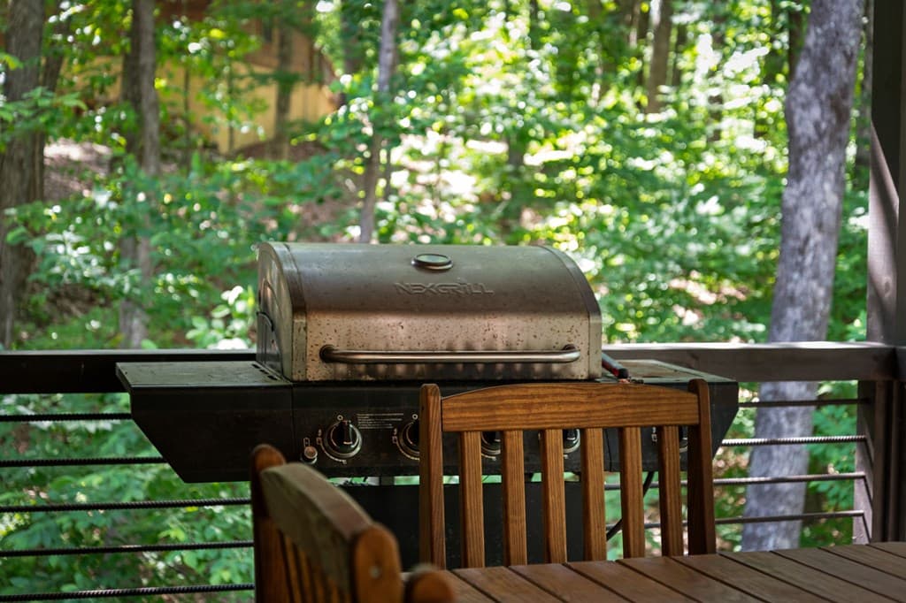 391 Little Bushy Head Road, Blue Ridge GA 30513 - Photo