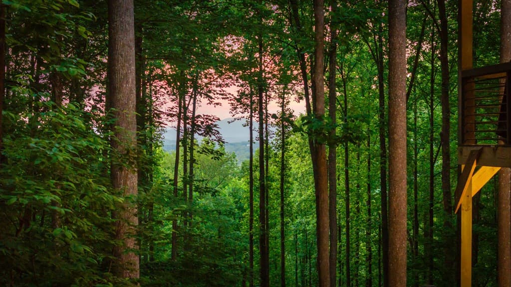 391 Little Bushy Head Road, Blue Ridge GA 30513 - Photo