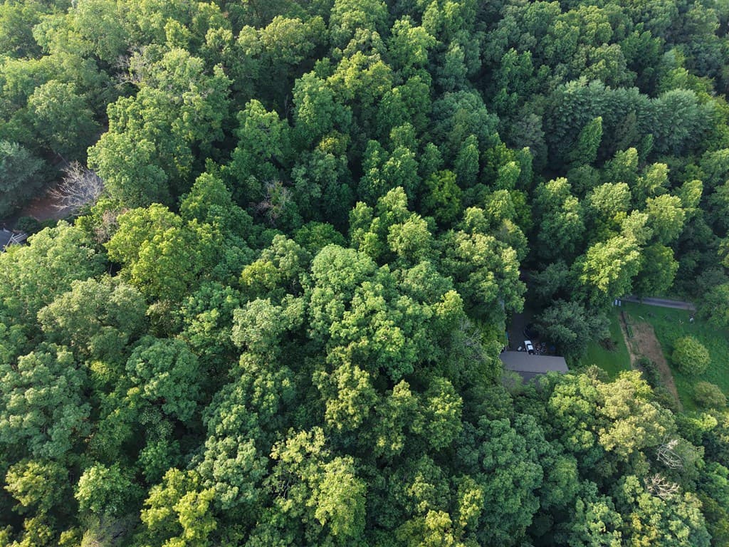 Lot 14 Kilpatrick Point Terrace, Hayesville NC 28904 - Photo