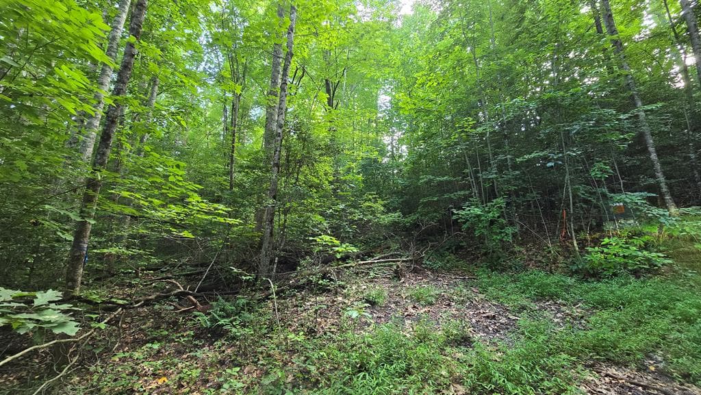 Lot 14 Kilpatrick Point Terrace, Hayesville NC 28904 - Primary photo