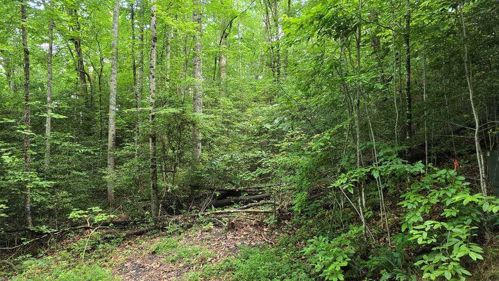 Lot 14 Kilpatrick Point Terrace, Hayesville NC 28904 - Photo