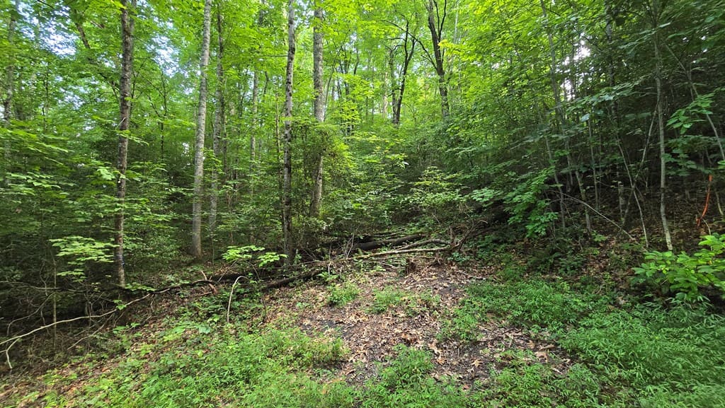 Lot 14 Kilpatrick Point Terrace, Hayesville NC 28904 - Photo