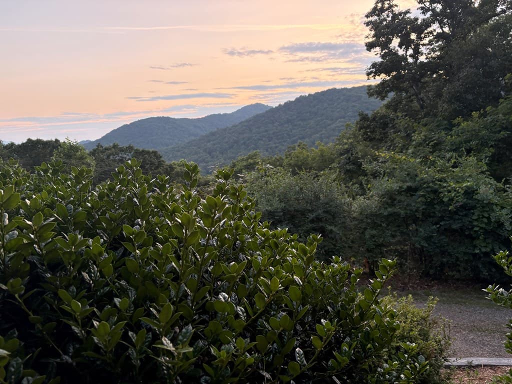 403 Buzzard Roost Road, Blairsville GA 30512 - Photo