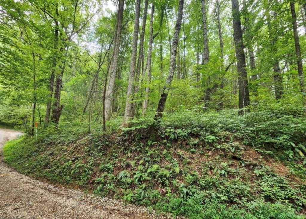 2B Poplar Cove, Suches GA 30572 - Photo