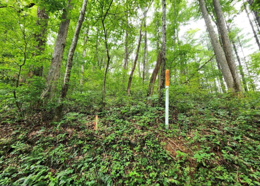 2B Poplar Cove, Suches GA 30572 - Photo