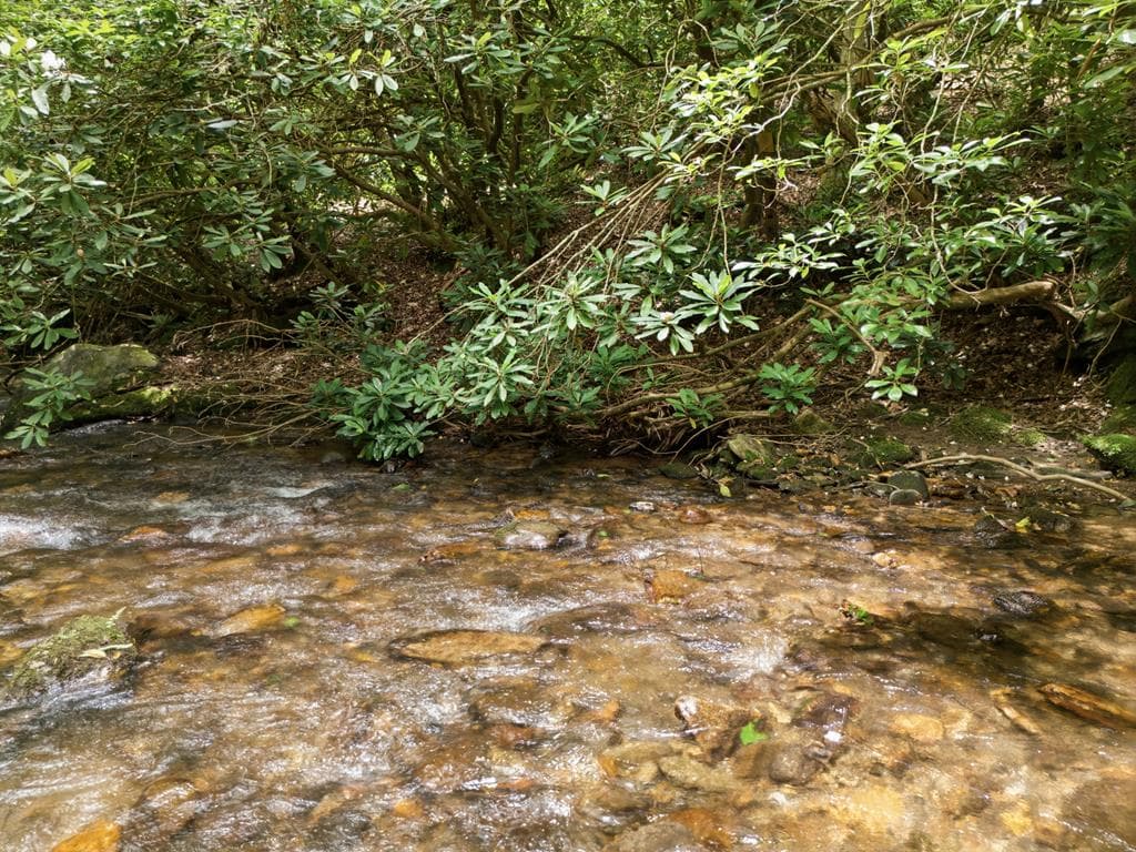 84 Pounding Mill Creek, Hayesville NC 28904 - Primary photo