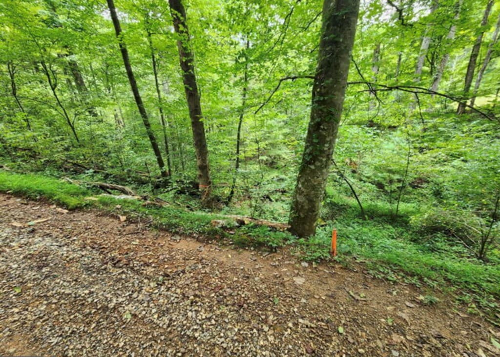 2A Poplar Cove, Suches GA 30572 - Photo