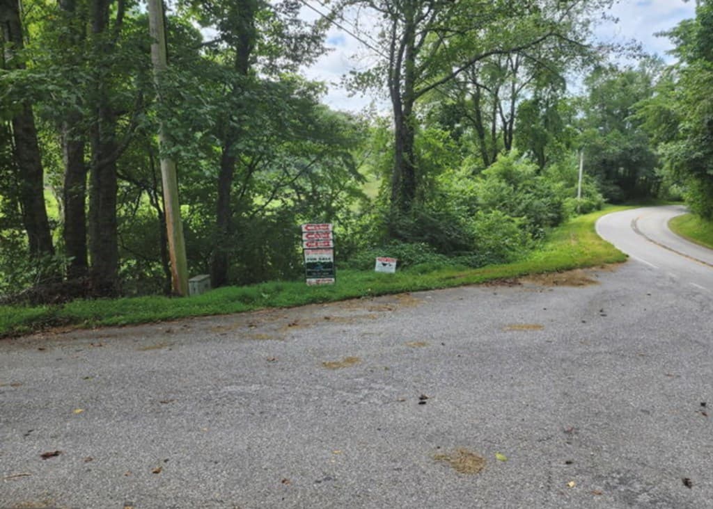 2A Poplar Cove, Suches GA 30572 - Photo