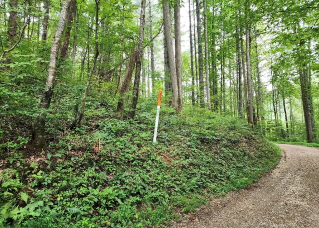 2A Poplar Cove, Suches GA 30572 - Photo