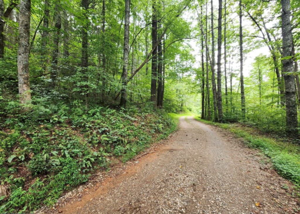 2A Poplar Cove, Suches GA 30572 - Photo