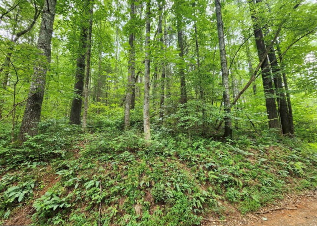 2A Poplar Cove, Suches GA 30572 - Photo