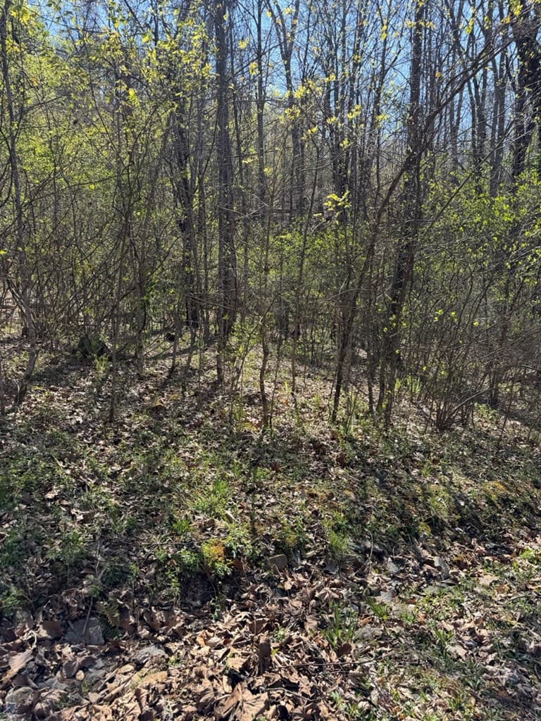 Lot 16-N High Meadows Drive, Hayesville NC 28904 - Photo