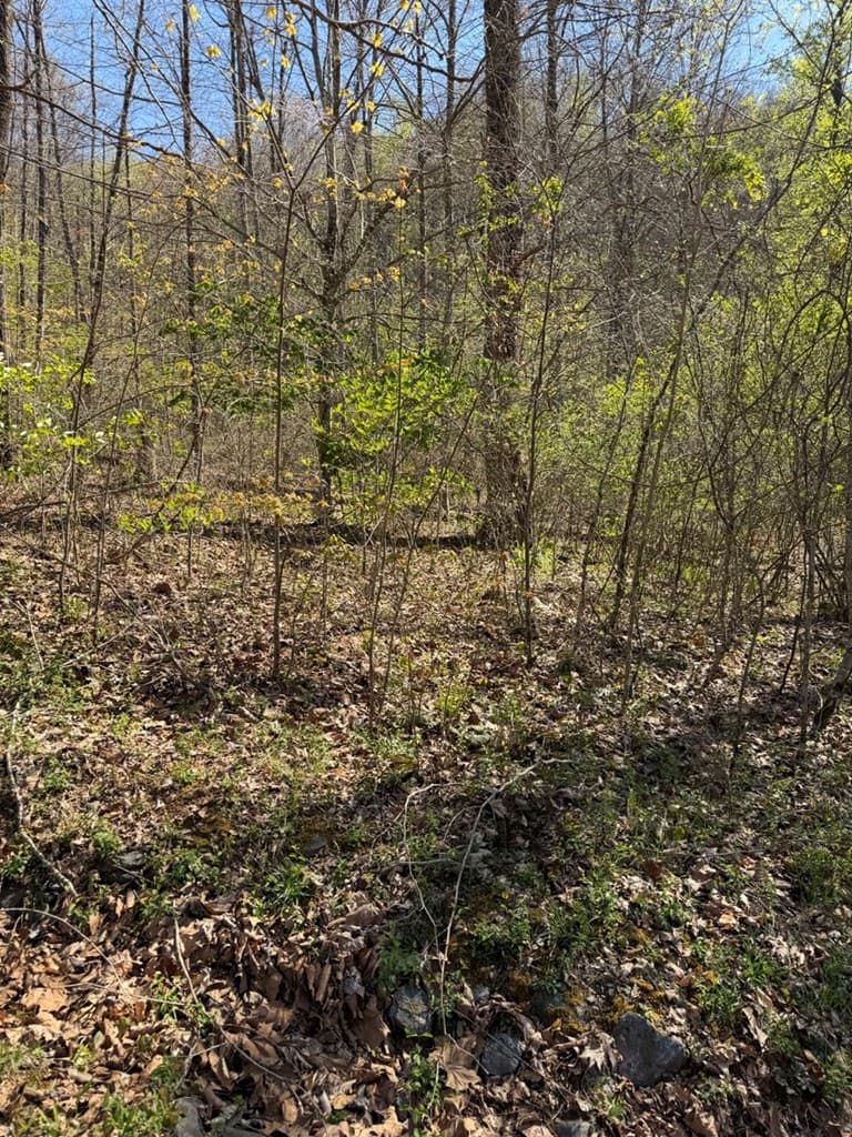 Lot 16-N High Meadows Drive, Hayesville NC 28904 - Photo