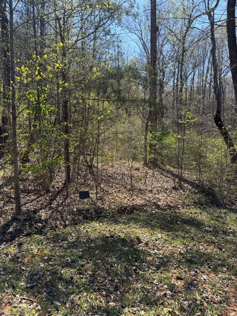 Lot 16-N High Meadows Drive, Hayesville NC 28904 - Photo