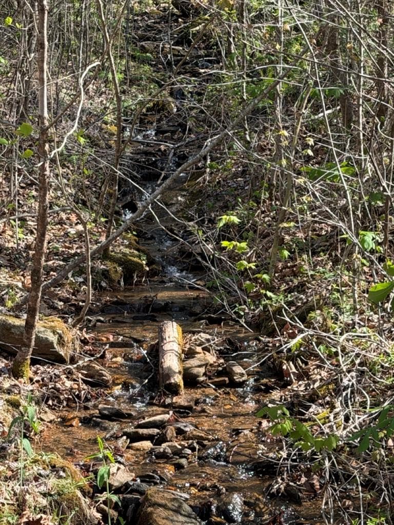 Lot 16-N High Meadows Drive, Hayesville NC 28904 - Primary photo