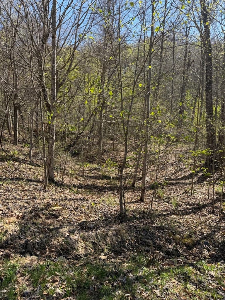 Lot 16-N High Meadows Drive, Hayesville NC 28904 - Photo