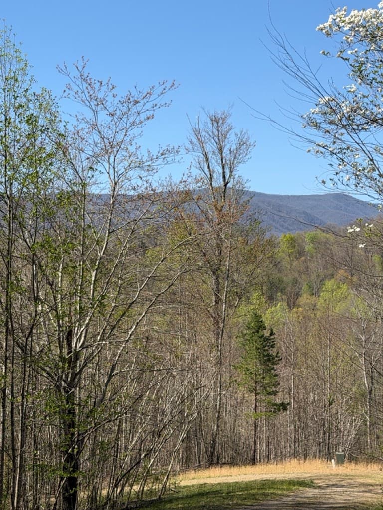 Lot 16-N High Meadows Drive, Hayesville NC 28904 - Photo
