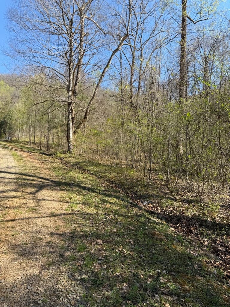 Lot 16-N High Meadows Drive, Hayesville NC 28904 - Photo