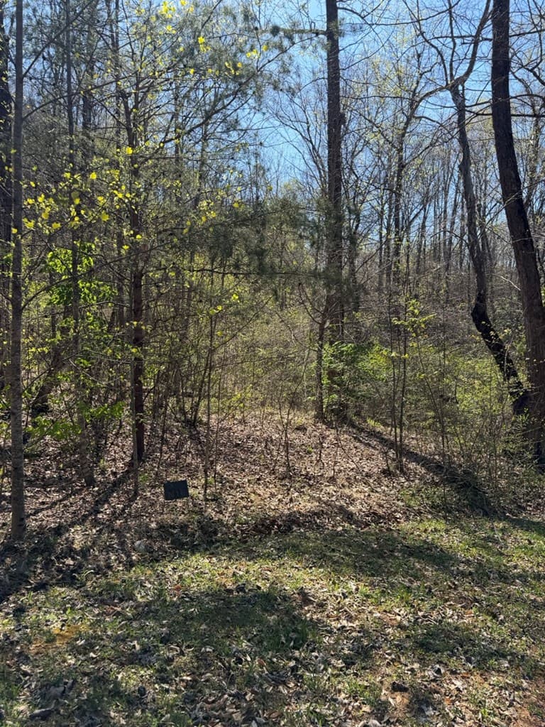 Lot 16-N High Meadows Drive, Hayesville NC 28904 - Photo