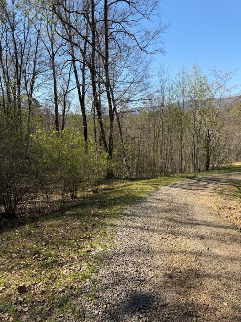 Lot 16-N High Meadows Drive, Hayesville NC 28904 - Photo