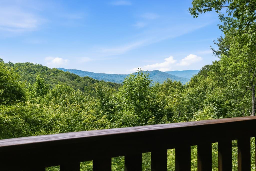 175 Leisure Drive, Ellijay GA 30536 - Photo