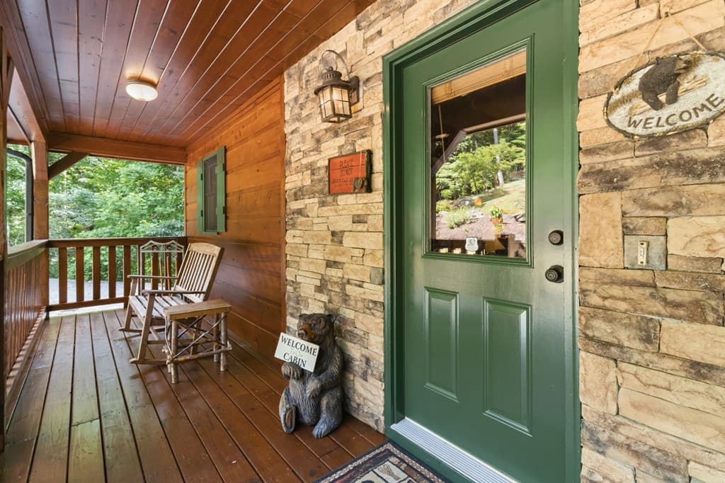 175 Leisure Drive, Ellijay GA 30536 - Photo