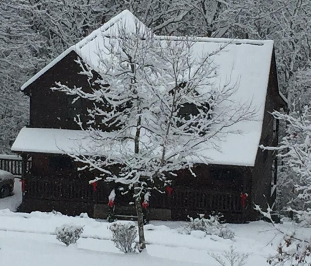 175 Leisure Drive, Ellijay GA 30536 - Photo