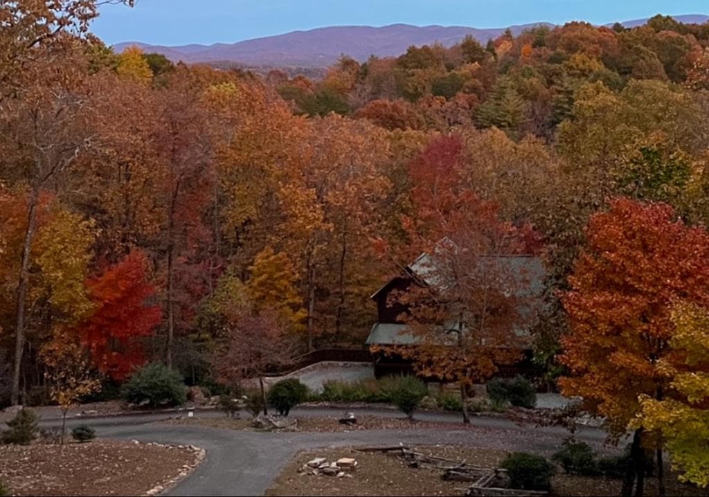175 Leisure Drive, Ellijay GA 30536 - Photo