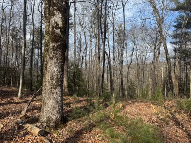 Lt 1,2,3 Abercrombie Estates, Suches GA 30572 - Photo