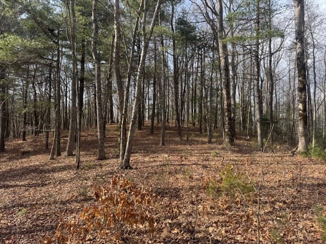 Lt 1,2,3 Abercrombie Estates, Suches GA 30572 - Photo