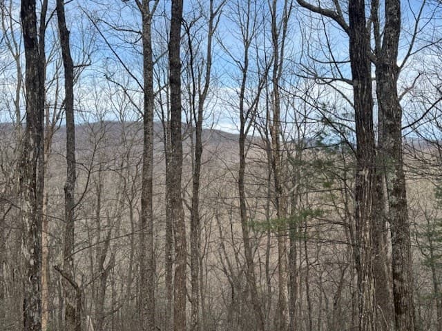Lt 1,2,3 Abercrombie Estates, Suches GA 30572 - Photo