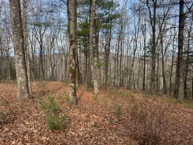 Lt 4,5,6 Abercrombie Estates, Suches GA 30572 - Photo