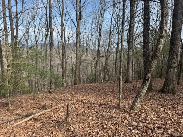 Lt 4,5,6 Abercrombie Estates, Suches GA 30572 - Photo