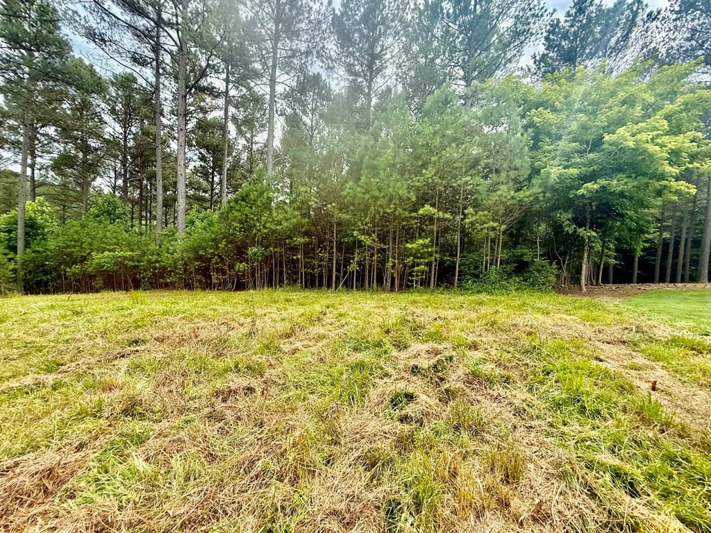 0 Stables Loop, Blairsville GA 30512 - Photo