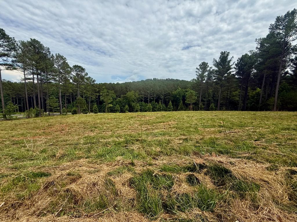0 Stables Loop, Blairsville GA 30512 - Primary photo