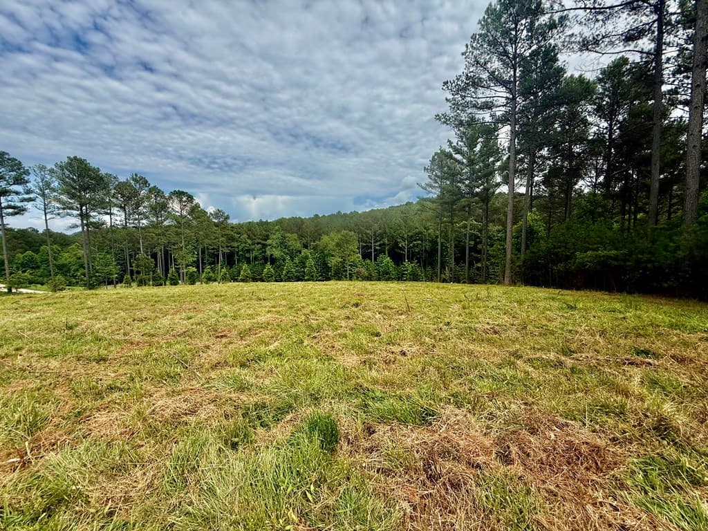 0 Stables Loop, Blairsville GA 30512 - Photo