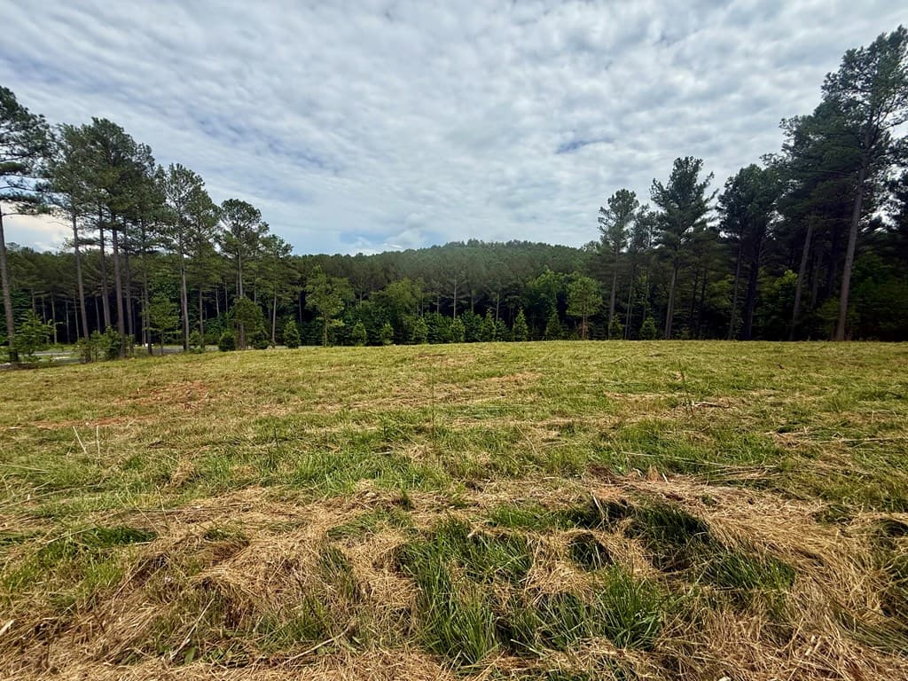0 Stables Loop, Blairsville GA 30512 - Photo