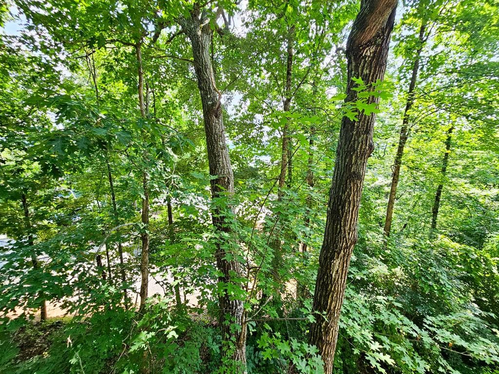 128 Manor Drive, Hayesville NC 28904 - Photo