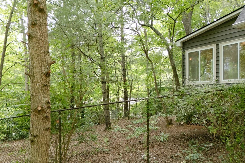169 Autumn Lane, Blairsville GA 30512 - Photo