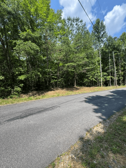 TR 3 & 4 Lakeland Drive, Ellijay GA 30540 - Photo