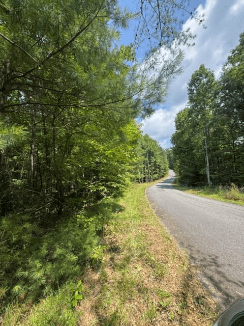 TR 3 & 4 Lakeland Drive, Ellijay GA 30540 - Primary photo