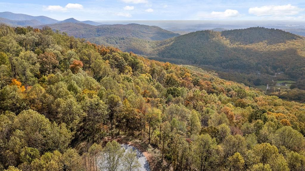 Lot 377 Calloway Mountain Road, Talking Rock GA 30175 - Photo