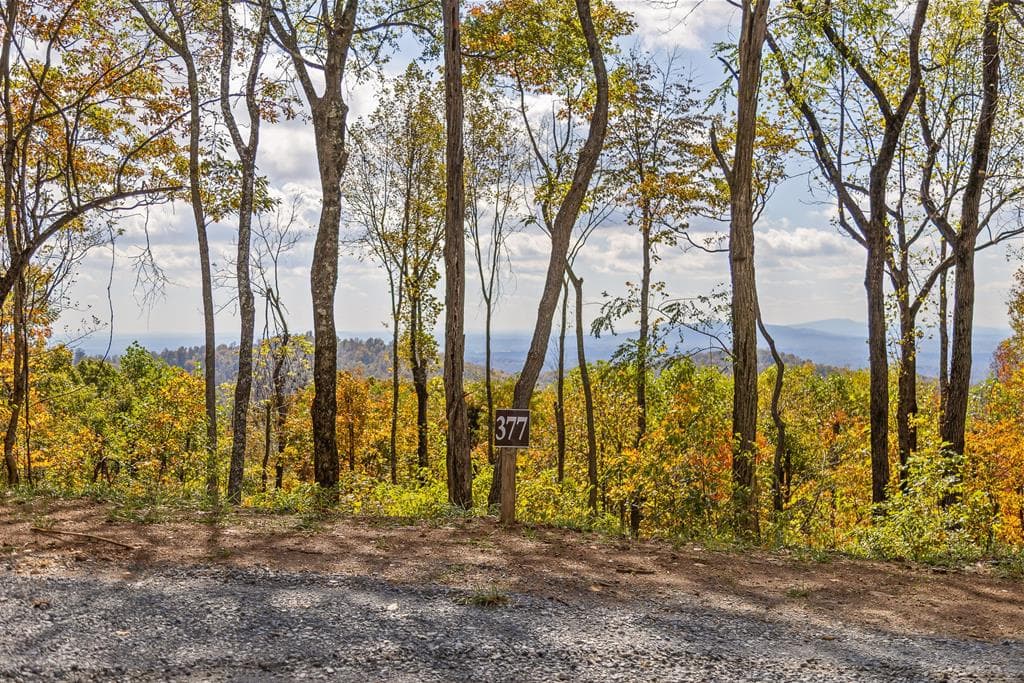 Lot 377 Calloway Mountain Road, Talking Rock GA 30175 - Photo
