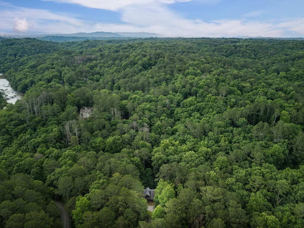 35 Noel Court, Ellijay GA 30540 - Photo